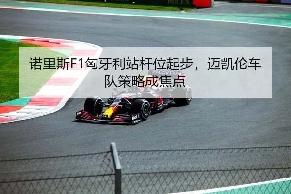 诺里斯F1匈牙利站杆位起步，迈凯伦车队策略成焦点
